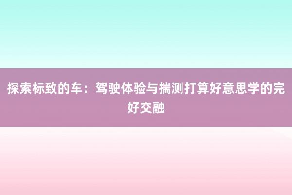 探索标致的车：驾驶体验与揣测打算好意思学的完好交融